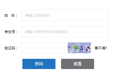 河源教育信息网中考成绩查询系统网页截图