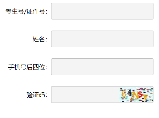 山东省教育招生考试院综合信息发布平台网页截图