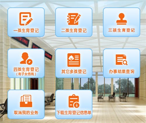 河南省生育登记和再生育审批网上服务平台网页截图