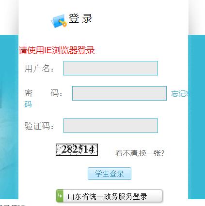 威海政务服务网网页截图