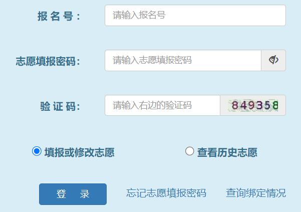 广西教育考试院网站网页截图