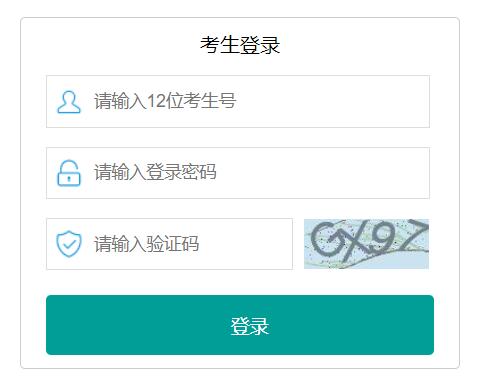 邯郸教育考试院网(网址)网页截图