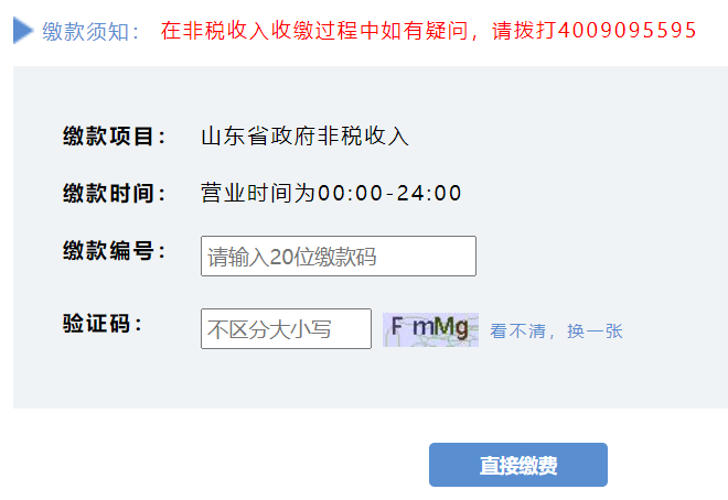 山东财政非税统缴平台网上缴费网页截图
