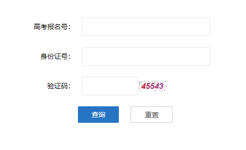 湖北教育考试院网站成绩查询网页截图