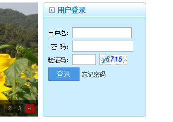 乐山中考成绩查询网页截图