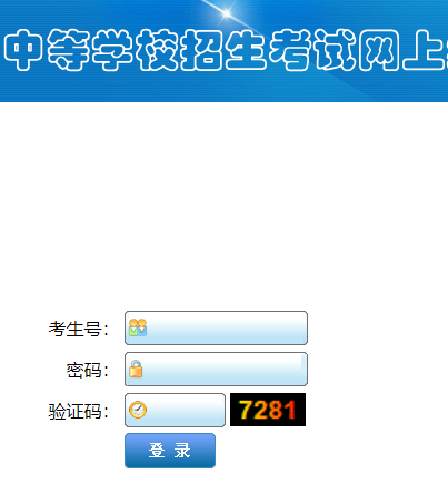 沈阳市考试院网页截图