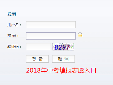 南阳教育网中考成绩查询网页截图