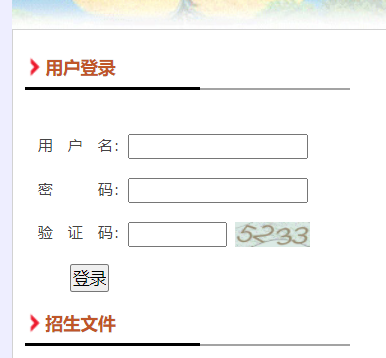 岳阳高中招生志愿填报网页截图