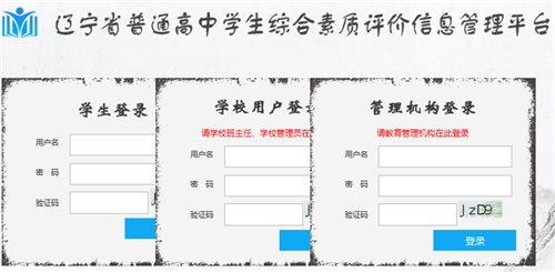 辽宁综合素质评价手机版网页截图